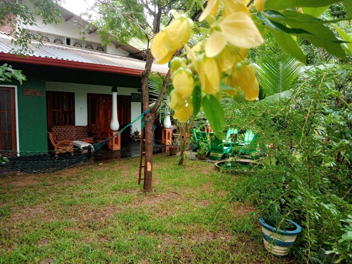 Sigiriya Village Home Stay Dış mekan fotoğraf